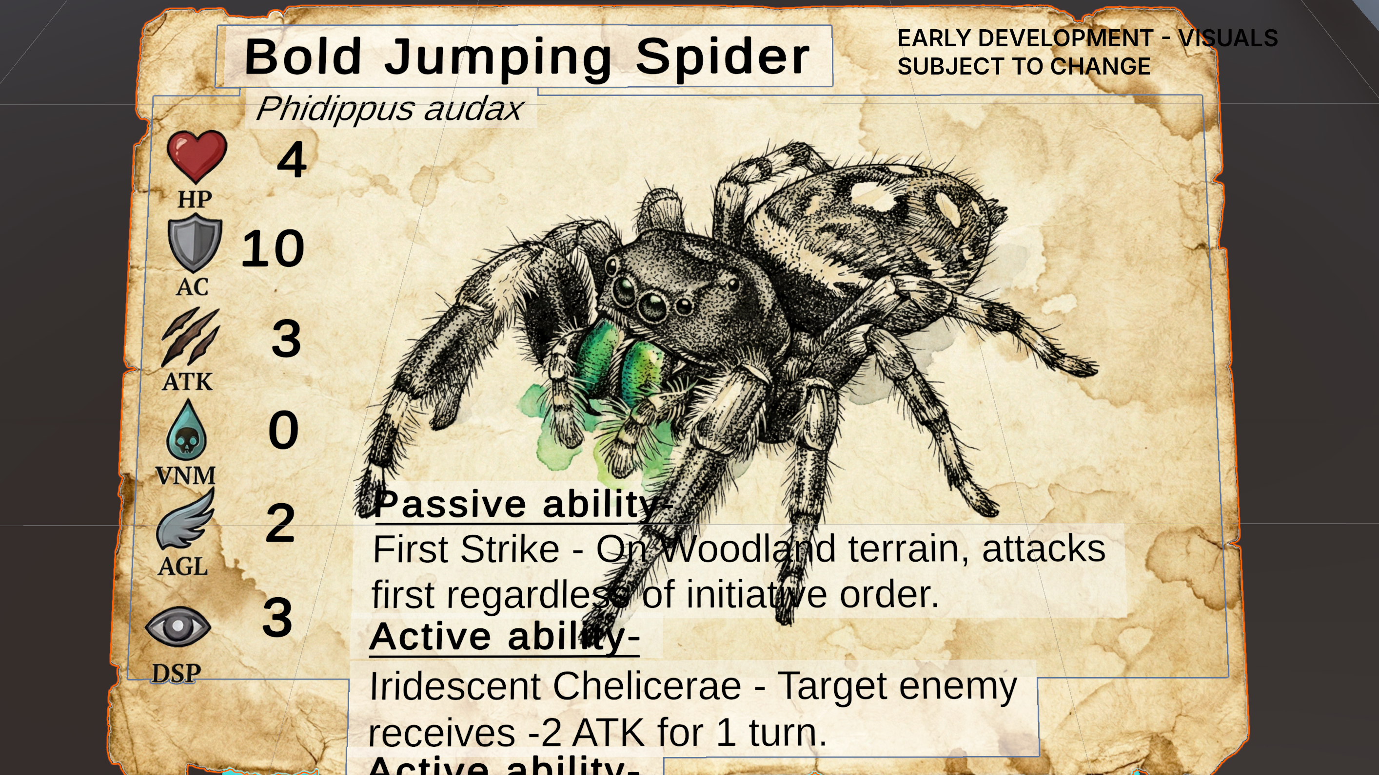 Bold Jumping Spider